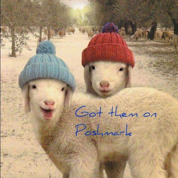 Fun - Picture 1 of 1